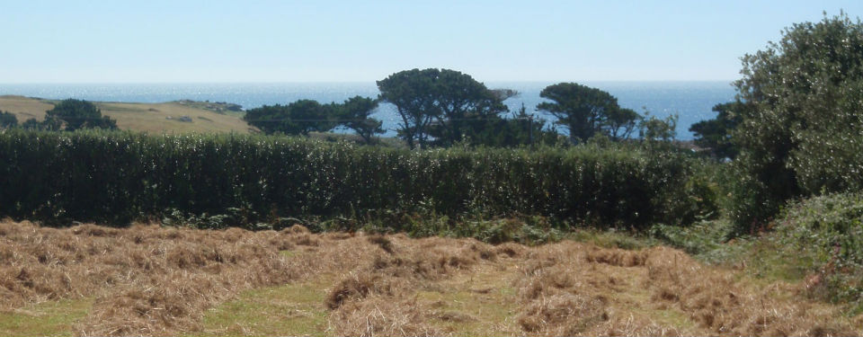 Lunnon Flower Farming New Road Isles of Scilly